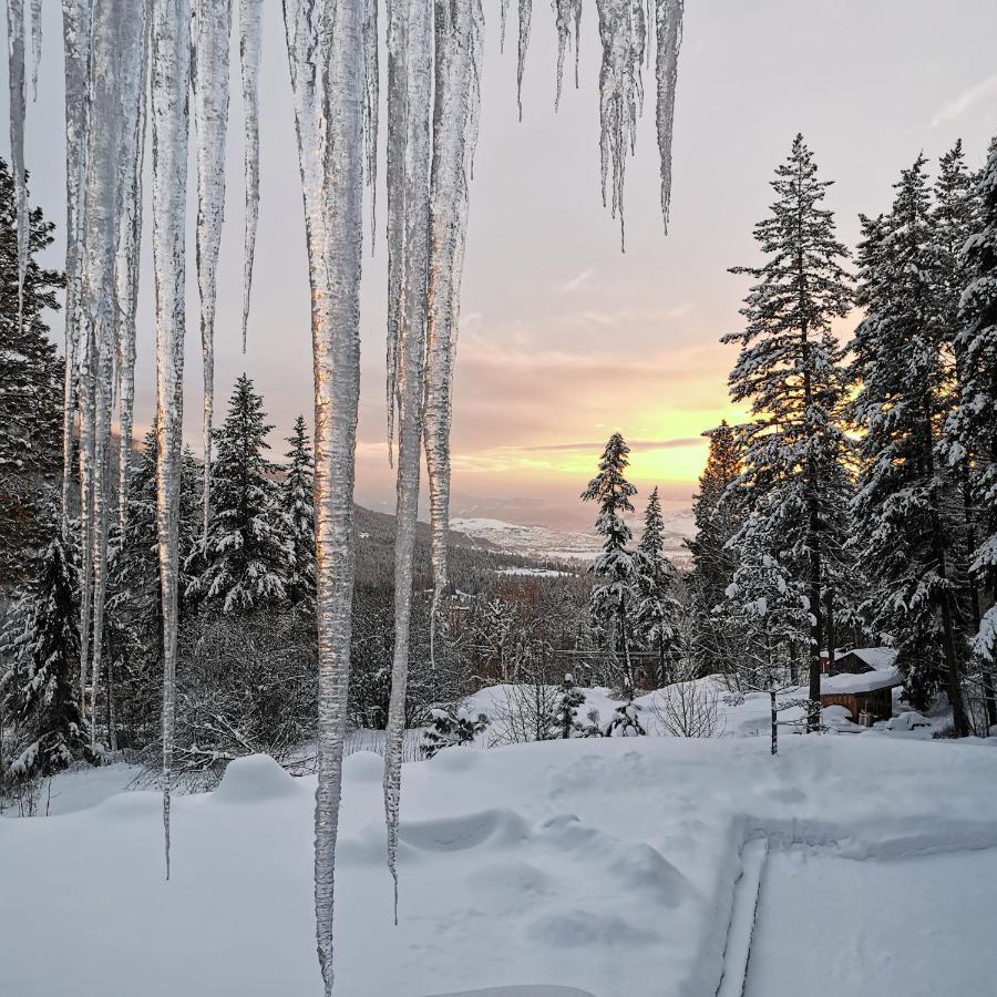 Bed & Breakfast Spirit At Silverstar